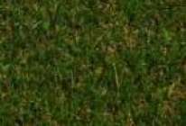 Искусственная трава для террасы MoonGrass 20