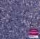 Купить Коммерческий линолеум Tarkett New Acczent Terra (235-77, Фиолетовый, 2 м), фото - КонтрактПол - 6