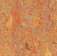 Купить Линолеум Forbo Marmoleum Vivace (3403, Да, Оранжевый, 2 м), фото - КонтрактПол - 7
