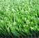Купить Искусственная трава MoonGrass Sport 20 (MoonGrassSport20/4, Зеленый, 4 м), фото - КонтрактПол - 0