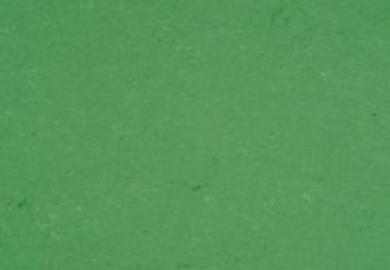 Купить Натуральный линолеум Armstrong Colorette PUR (137-006, Зеленый), фото - КонтрактПол - 74