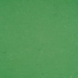 Купить  Натуральный линолеум Armstrong Colorette PUR (137-006, Зеленый), фото - КонтрактПол - 51
