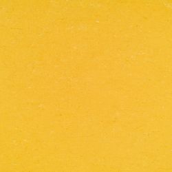Купить  Натуральный линолеум Armstrong Colorette PUR (137-001, Желтый), фото - КонтрактПол - 62