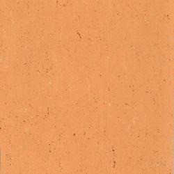 Купить  Натуральный линолеум Armstrong Colorette PUR (137-078, Бежево-розовый), фото - КонтрактПол - 65