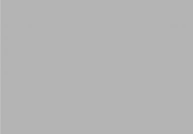 Купить Выставочный линолеум Grabo Salon (1240, Да, Темно-серый, 2 м), фото - КонтрактПол - 48