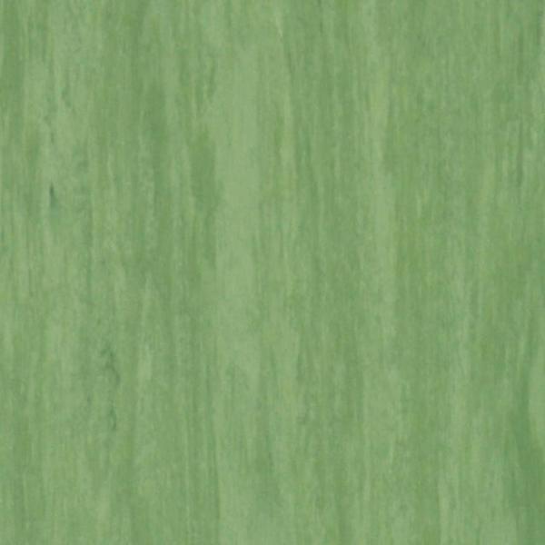 Купить  Линолеум Tarkett Standard Plus (DARK GREEN 0921, Зеленый), фото - КонтрактПол - 41