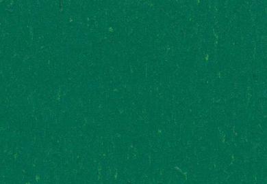 Купить Линолеум Forbo Marmoleum Piano (3649/364935, Да, Темно-зеленый, 2 м), фото - КонтрактПол - 69