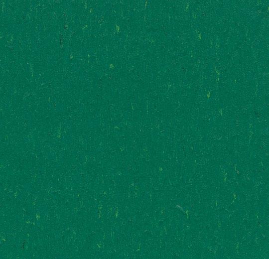 Купить  Линолеум Forbo Marmoleum Piano (3649/364935, Да, Темно-зеленый, 2 м), фото - КонтрактПол - 50