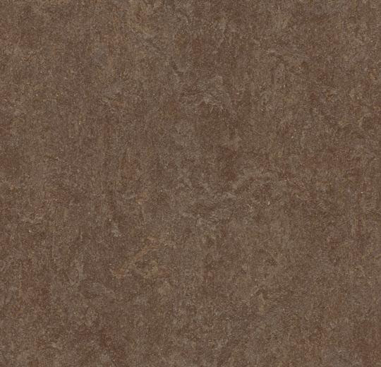 Купить  Линолеум Forbo Marmoleum Fresco (3874, Да, Темно-коричневый, 2 м), фото - КонтрактПол - 53