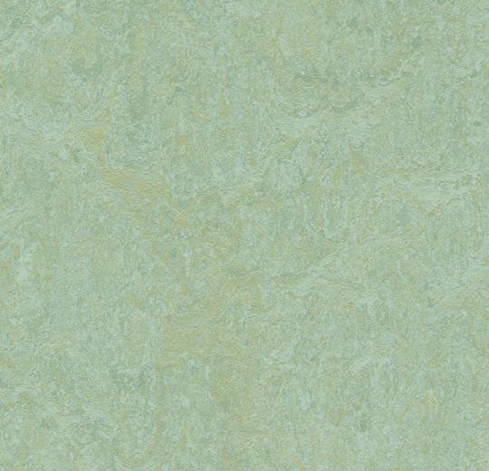 Купить  Линолеум Forbo Marmoleum Fresco (3882, Да, Темно-зеленый, 2 м), фото - КонтрактПол - 49