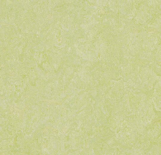 Купить  Линолеум Forbo Marmoleum Fresco (3881, Да, Салатовый, 2 м), фото - КонтрактПол - 50