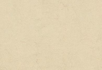 Купить Линолеум Forbo Marmoleum Fresco (3858, Да, Песок, 2 м), фото - КонтрактПол - 59