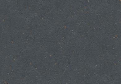 Купить Линолеум Forbo Marmoleum Cocoa (3583/358335, Да, Темно-серый, 2 м), фото - КонтрактПол - 20