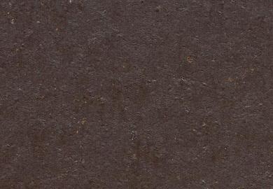 Купить Линолеум Forbo Marmoleum Cocoa (3581/358135, Да, Темно-коричневый, 2 м), фото - КонтрактПол - 21