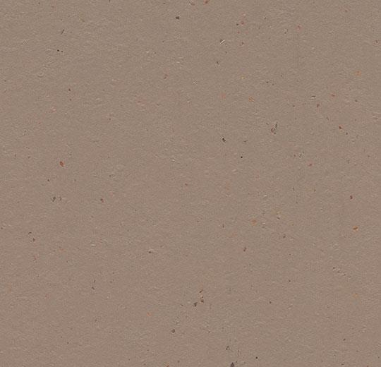 Купить  Линолеум Forbo Marmoleum Cocoa (3580/358035, Да, Бежевый, 2 м), фото - КонтрактПол - 12