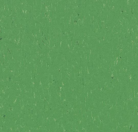 Купить  Линолеум Forbo Marmoleum Piano (3647/364735, Да, Светло-зеленый, 2 м), фото - КонтрактПол - 54
