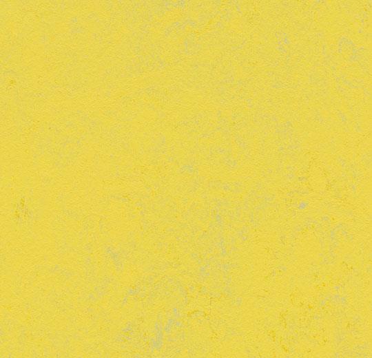 Купить  Линолеум Forbo Marmoleum Concrete (3741/374135, Да, Желтый, 2 м), фото - КонтрактПол - 54