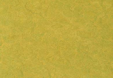 Купить Линолеум Forbo Marmoleum Sport (83878, Да, Желтый, 2 м), фото - КонтрактПол - 49