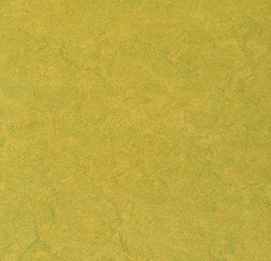 Купить  Линолеум Forbo Marmoleum Sport (83878, Да, Желтый, 2 м), фото - КонтрактПол - 36