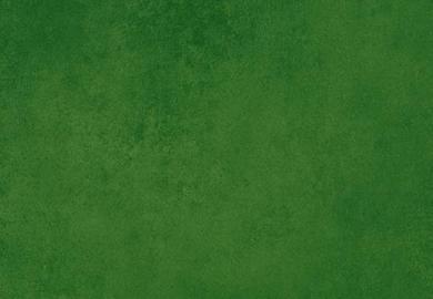 Купить Линолеум Forbo Sarlon Resin (433758/432758, Да, Темно-зеленый, 2 м), фото - КонтрактПол - 26