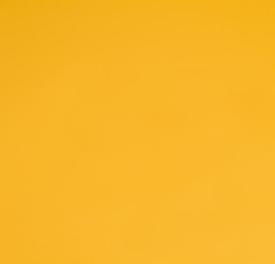 Купить  Линолеум Forbo Sportline Standart/Classic (01070, Да, Желтый, 2 м), фото - КонтрактПол - 28