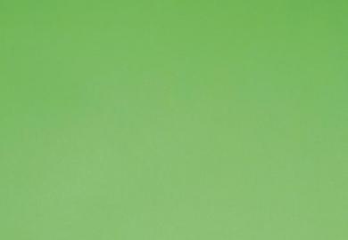 Купить Линолеум Forbo Sportline Standart/Classic (03040, Да, Светло-зеленый, 2 м), фото - КонтрактПол - 41