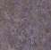 Купить Линолеум Forbo Marmoleum Vivace (3422, Да, Фиолетовый, 2 м), фото - КонтрактПол - 6