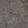 Купить Линолеум Forbo Marmoleum Vivace (3421, Да, Темно-коричневый, 2 м), фото - КонтрактПол - 8