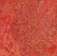 Купить Линолеум Forbo Marmoleum Vivace (3416, Да, Красный, 2 м), фото - КонтрактПол - 3