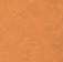 Купить Линолеум Forbo Marmoleum Sport (83176, Да, Оранжевый, 2 м), фото - КонтрактПол - 7