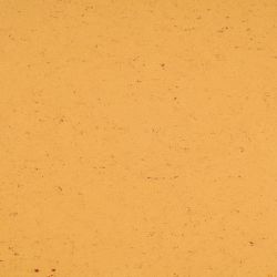 Купить  Натуральный линолеум Armstrong Colorette PUR (137-073, Песок), фото - КонтрактПол - 50