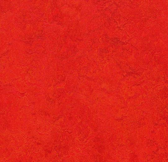 Купить  Плитка Forbo Marmoleum Modular (t3131, Да, Красный), фото - КонтрактПол - 34
